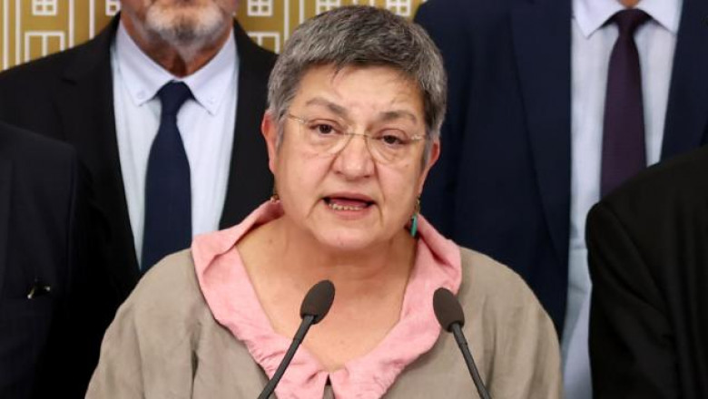 TTB Başkanı Şebnem Korur Fincancı tutuklandı